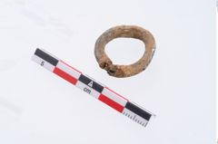 Foto von Zinnring (NHMW-PRAE-002332)